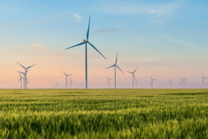 A wind farm - clean energy