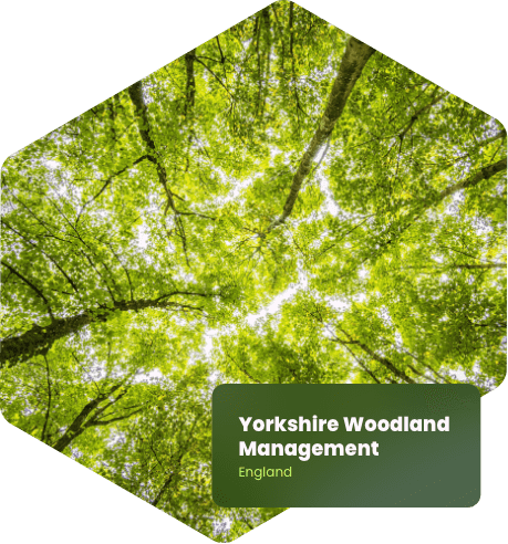 Yorkshire Woodland Management